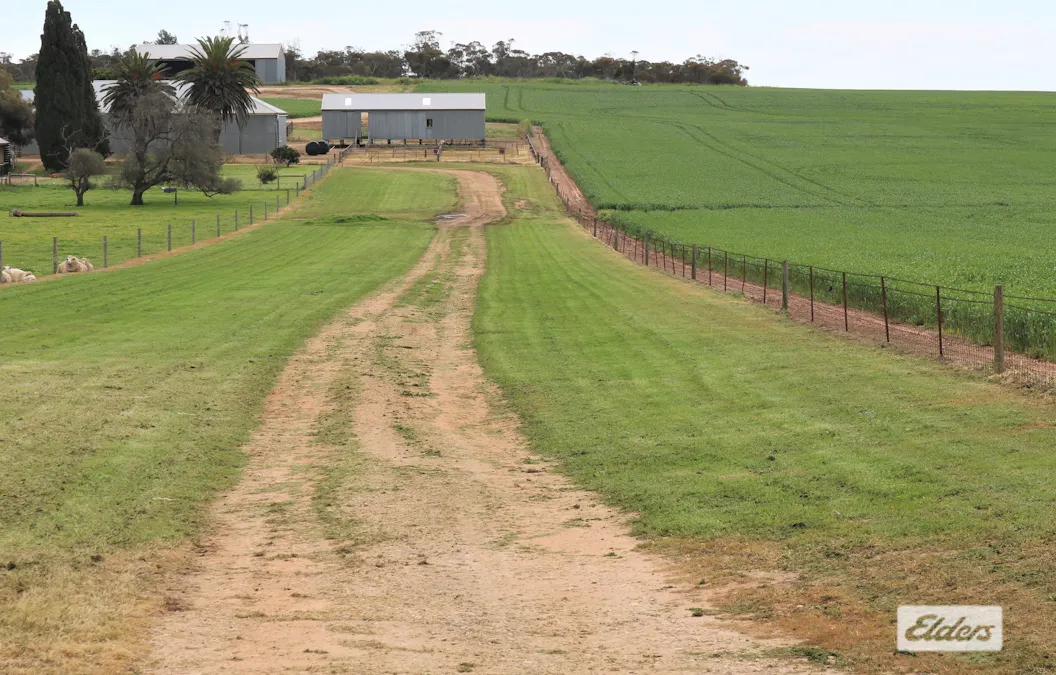Lot 2 Weetulta Road, Weetulta, SA, 5573 - Image 11