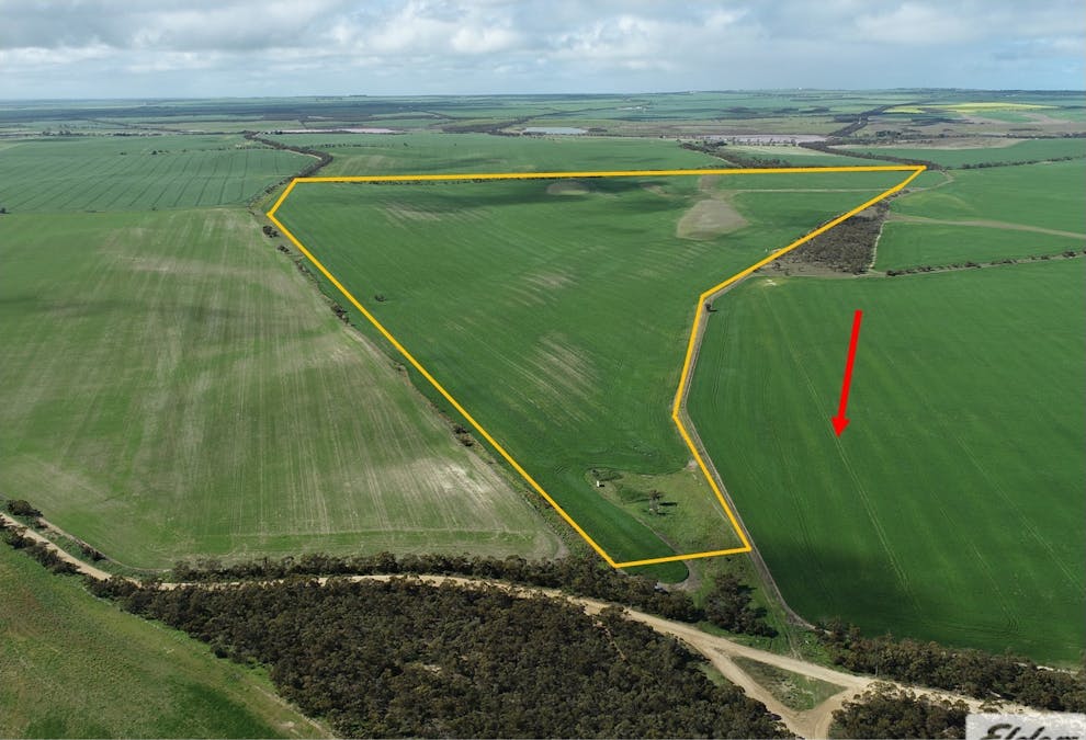 Sec 250 Weetulta Tank Road, Weetulta, SA, 5573 - Image 1