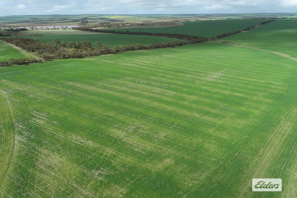 Sec 250 Weetulta Tank Road, Weetulta, SA, 5573 - Image 3