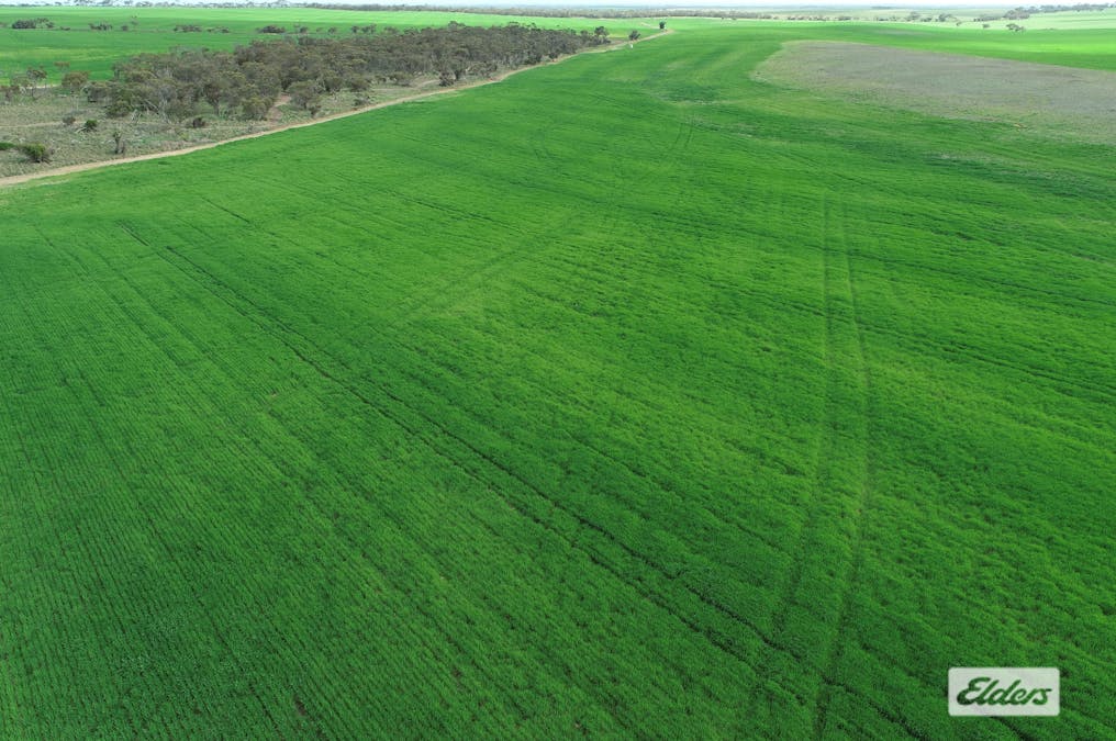 Sec 250 Weetulta Tank Road, Weetulta, SA, 5573 - Image 4