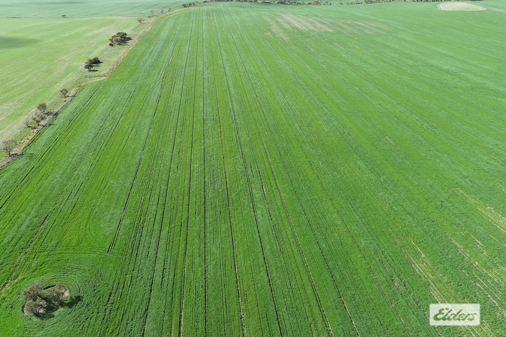 Sec 250 Weetulta Tank Road, Weetulta, SA, 5573 - Image 6