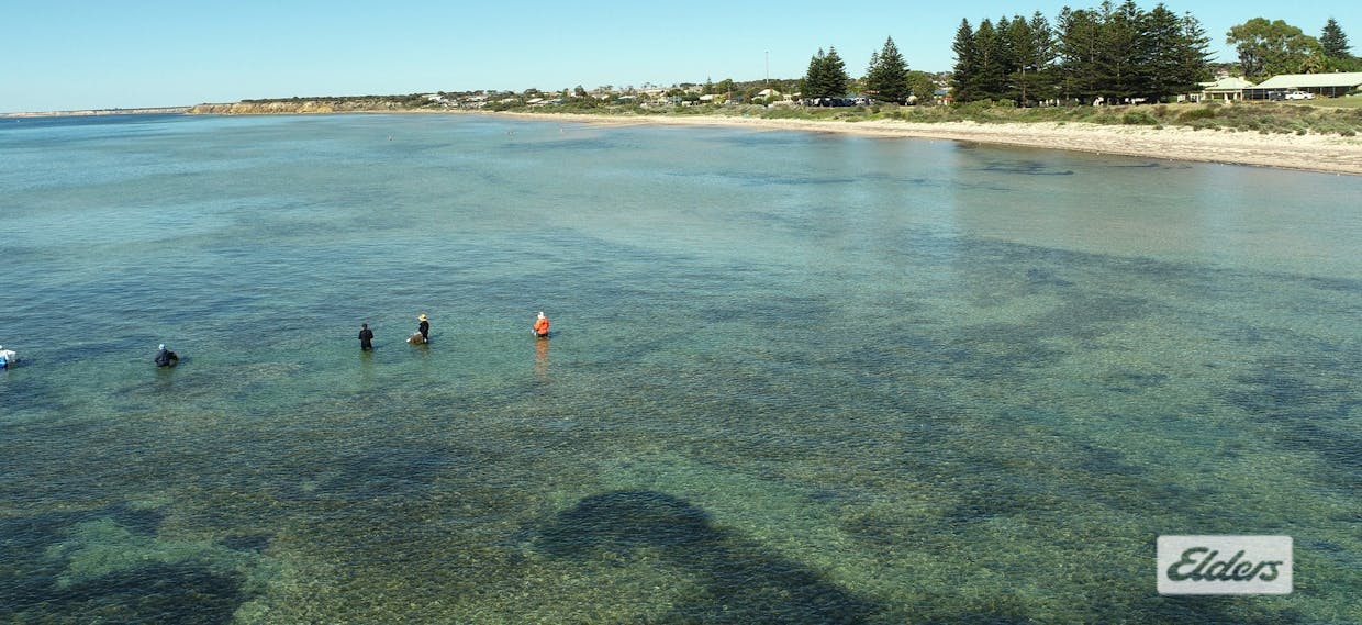 9 Ford Avenue, Port Vincent, SA, 5581 - Image 23