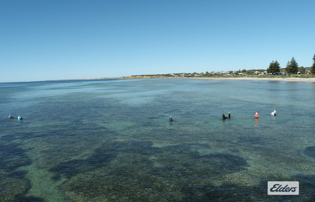 23 Minlacowie Road, Port Vincent, SA, 5581 - Image 4