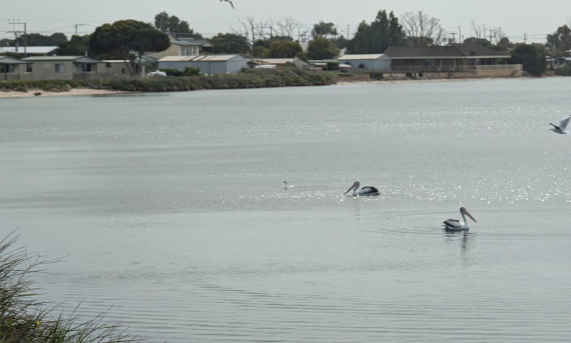 Coobowie, SA, 5583 - Image 1