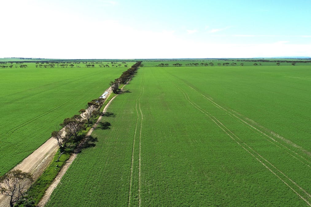235 Rose Road, Arthurton, SA, 5572 - Image 6