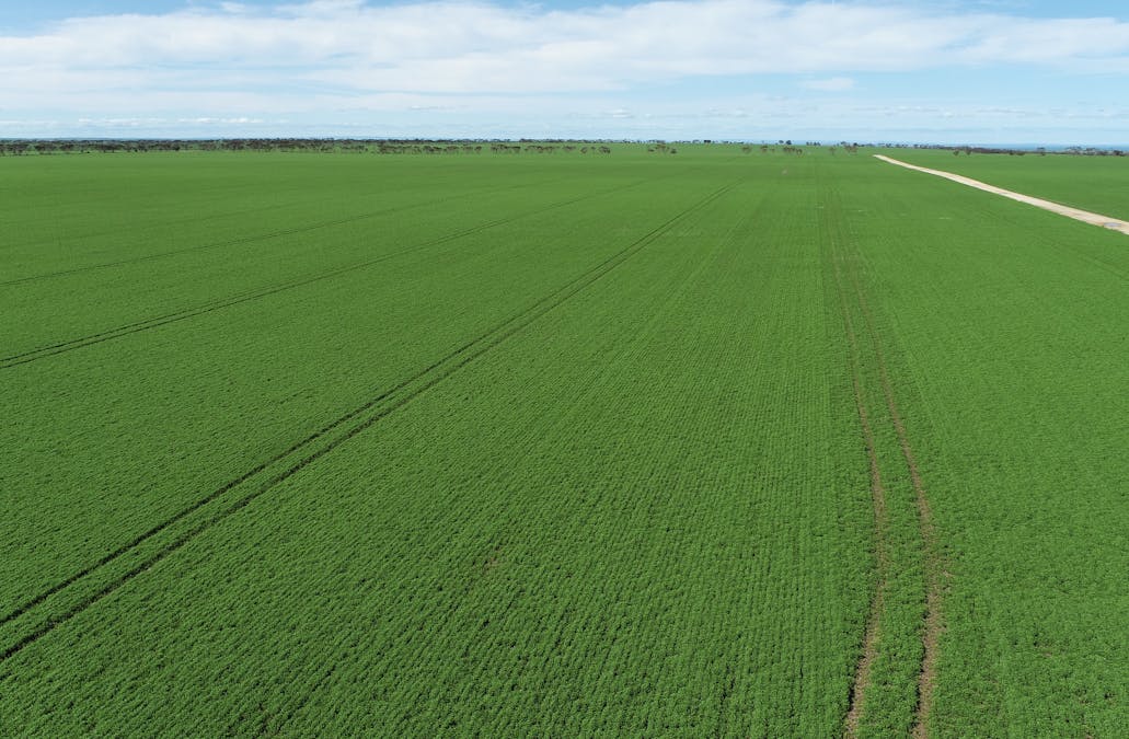 235 Rose Road, Arthurton, SA, 5572 - Image 11