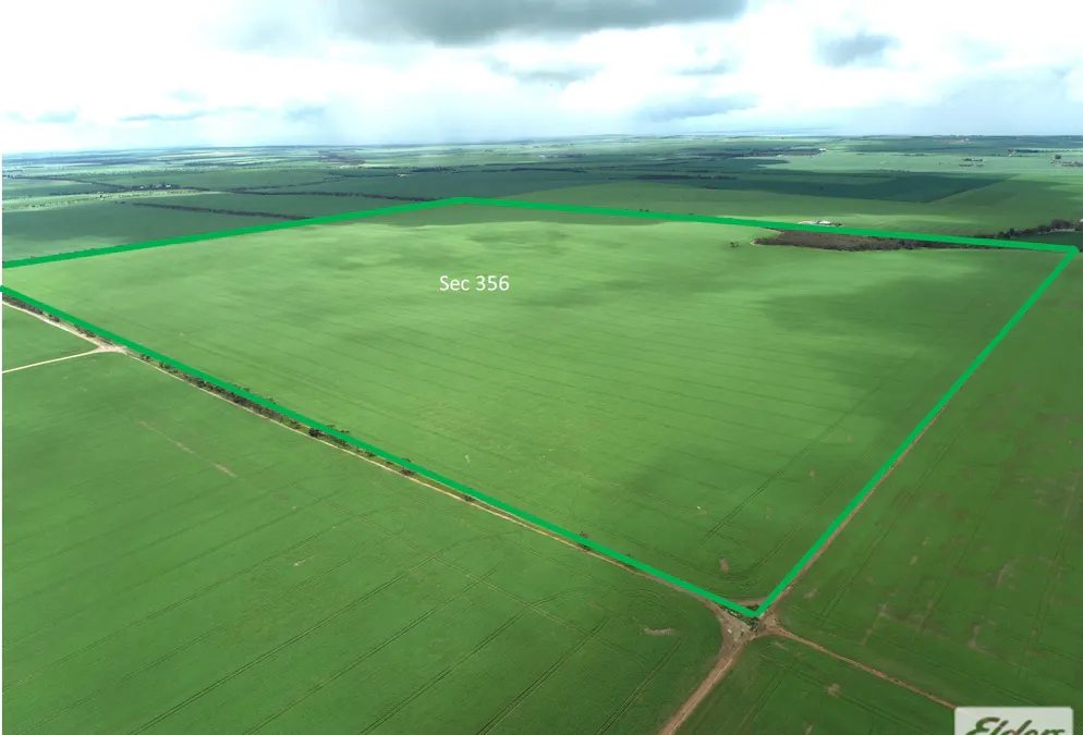 Correll Road, Arthurton, SA, 5572 - Image 9