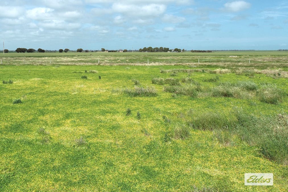 Lot 488 Port Victoria Road, South Kilkerran, SA, 5573 - Image 3