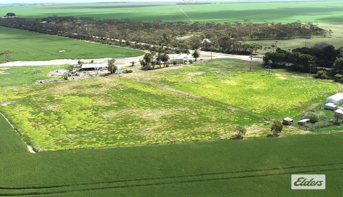 Lot 488 Port Victoria Road, South Kilkerran, SA, 5573 - Image 4