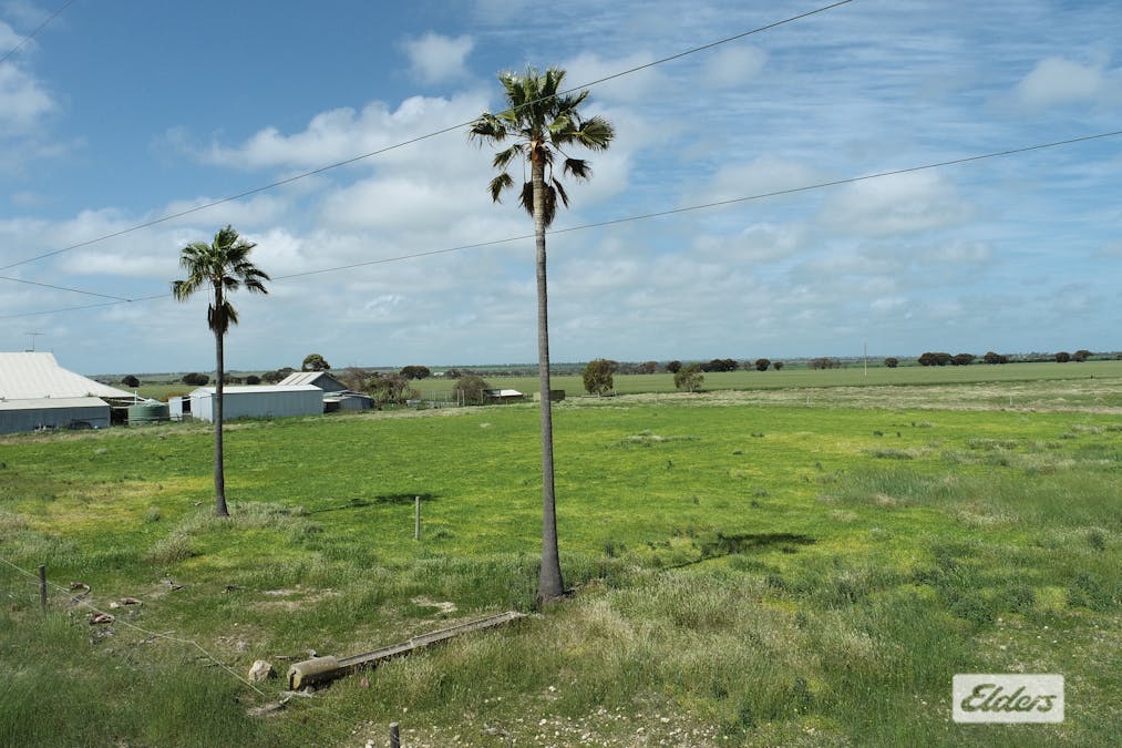 Lot 488 Port Victoria Road, South Kilkerran, SA, 5573 - Image 7