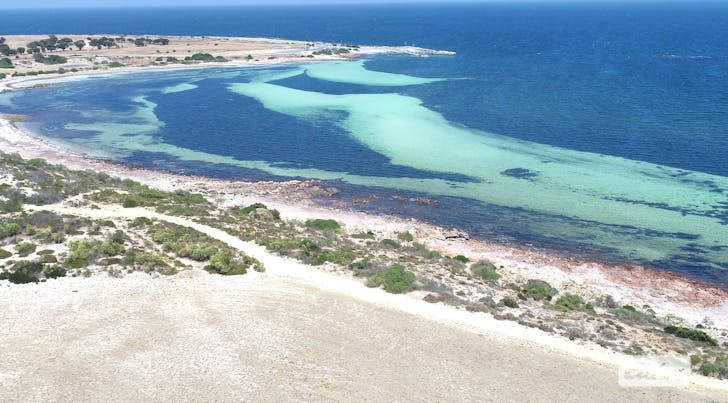 21 Edwardes Terrace, Port Victoria, SA, 5573 - Image 1