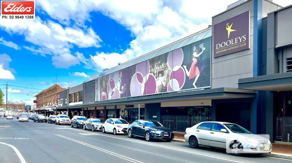 30 Grevillea Crescent, Lidcombe, NSW, 2141 - Image 21