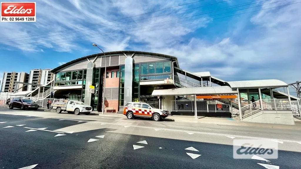 30 Grevillea Crescent, Lidcombe, NSW, 2141 - Image 19