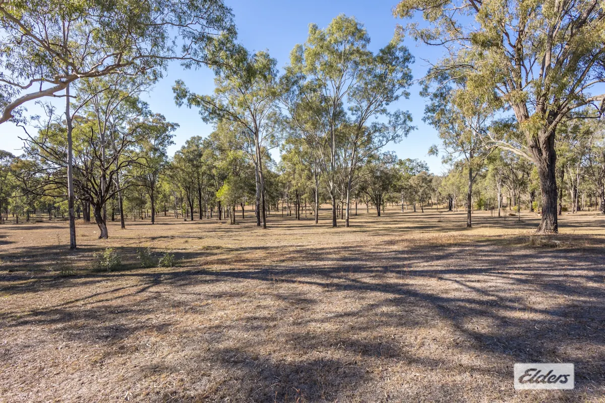 181 Grantham Scrub Road — photo 18 of 21