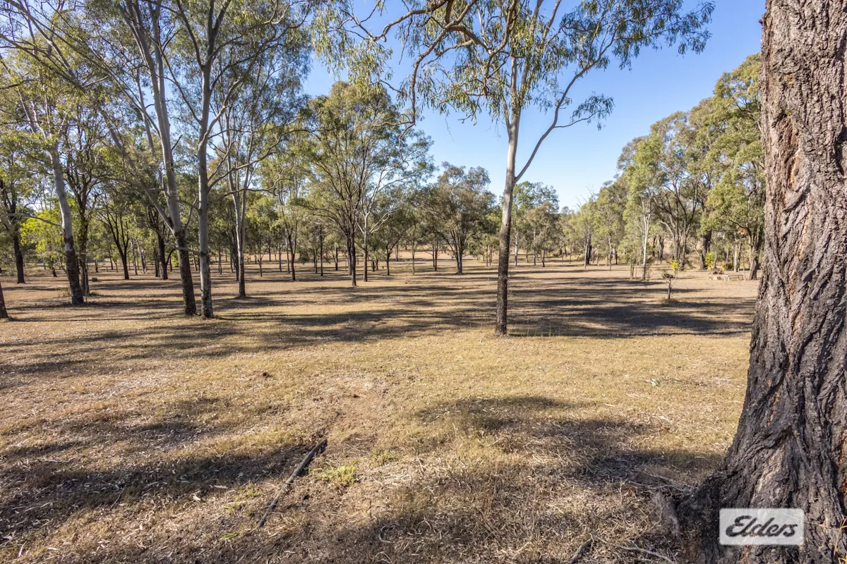 181 Grantham Scrub Road — photo 19 of 21