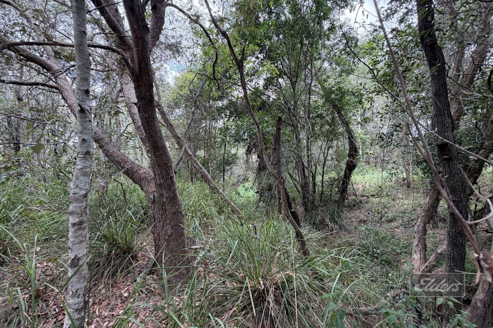 LOT 29 Arborthree Road, Glenwood, QLD, 4570 - Image 12