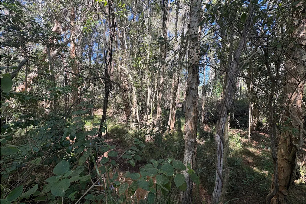 35 Deephouse Road, Bauple, QLD, 4650 - Image 18
