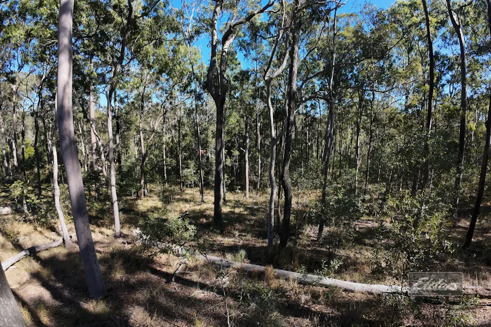 Lot 755 Arbortwenty Eight Road, Glenwood, QLD, 4570 - Image 4