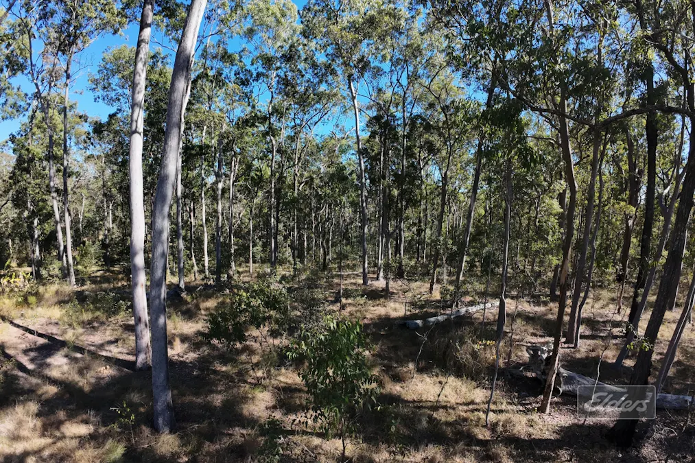 Lot 755 Arbortwenty Eight Road, Glenwood, QLD, 4570 - Image 7