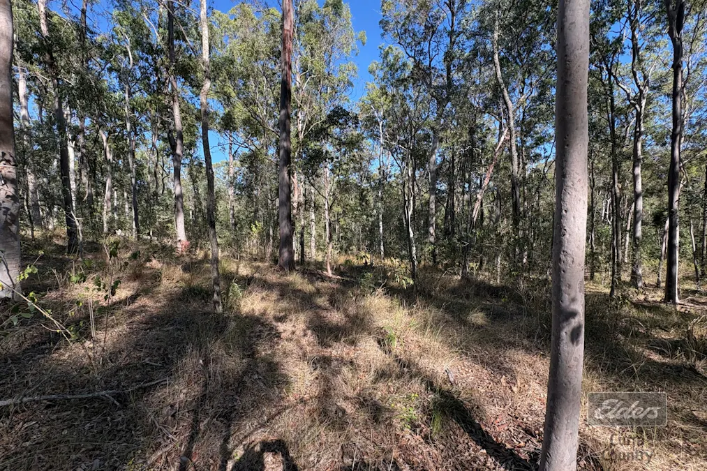 Lot 755 Arbortwenty Eight Road, Glenwood, QLD, 4570 - Image 12
