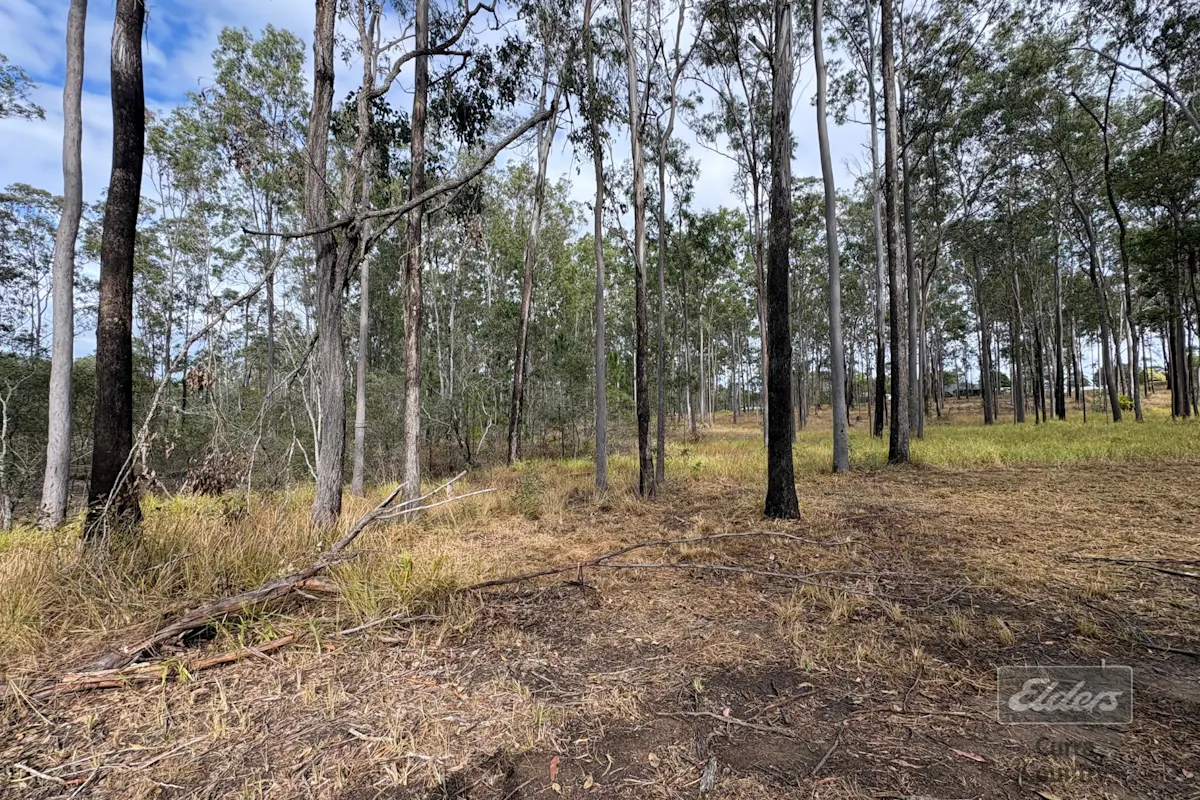 126 Arbortwenty Nine Road — photo 8 of 16