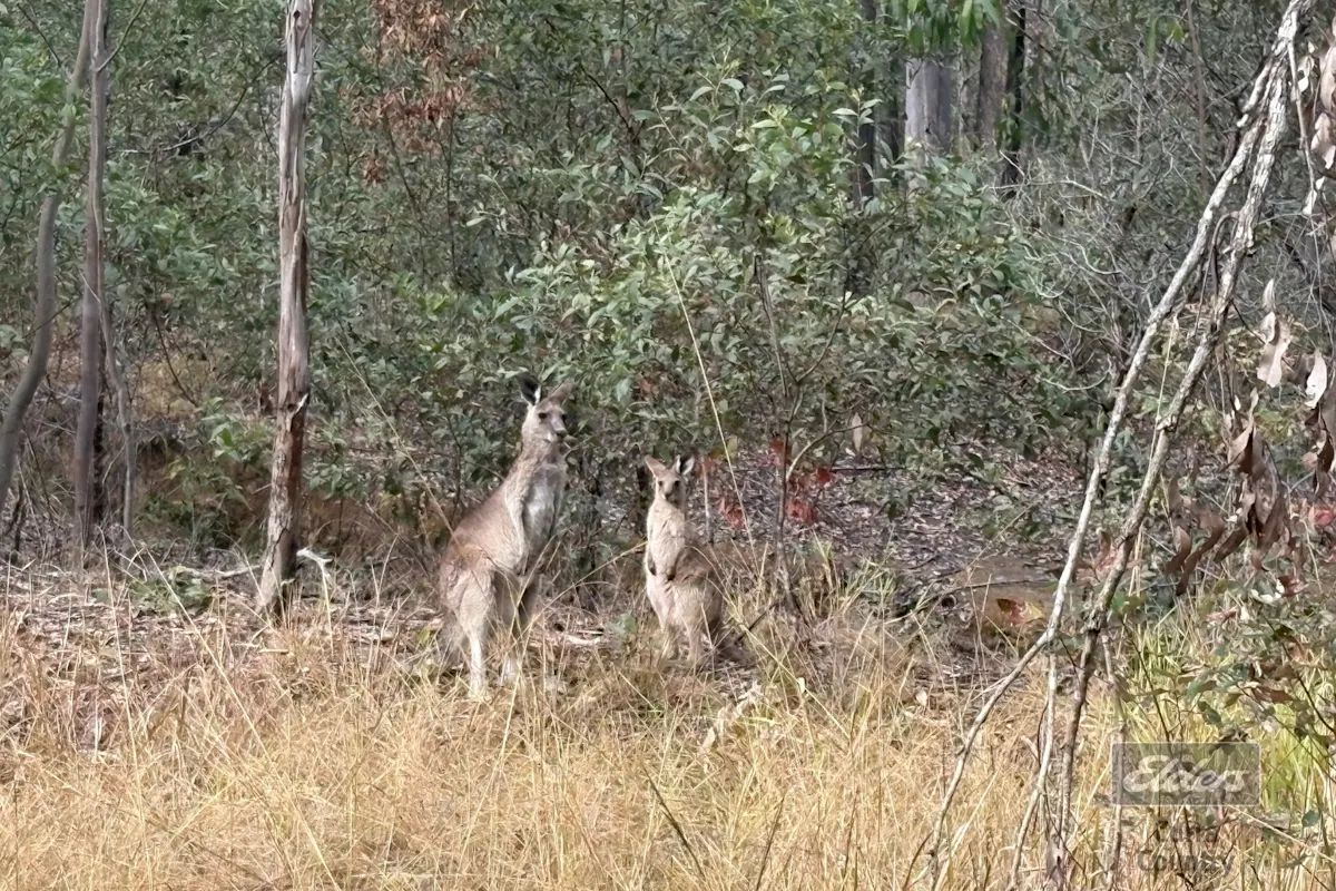 126 Arbortwenty Nine Road — photo 15 of 16