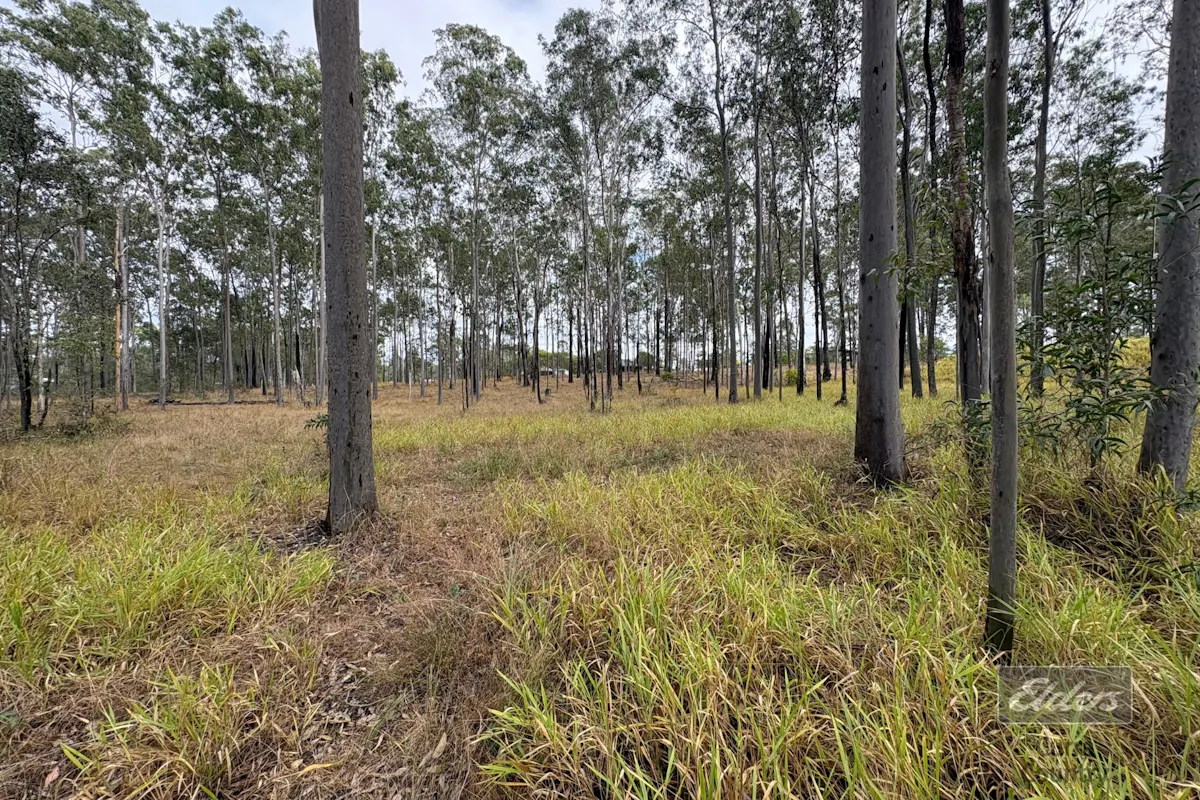 126 Arbortwenty Nine Road — photo 10 of 16