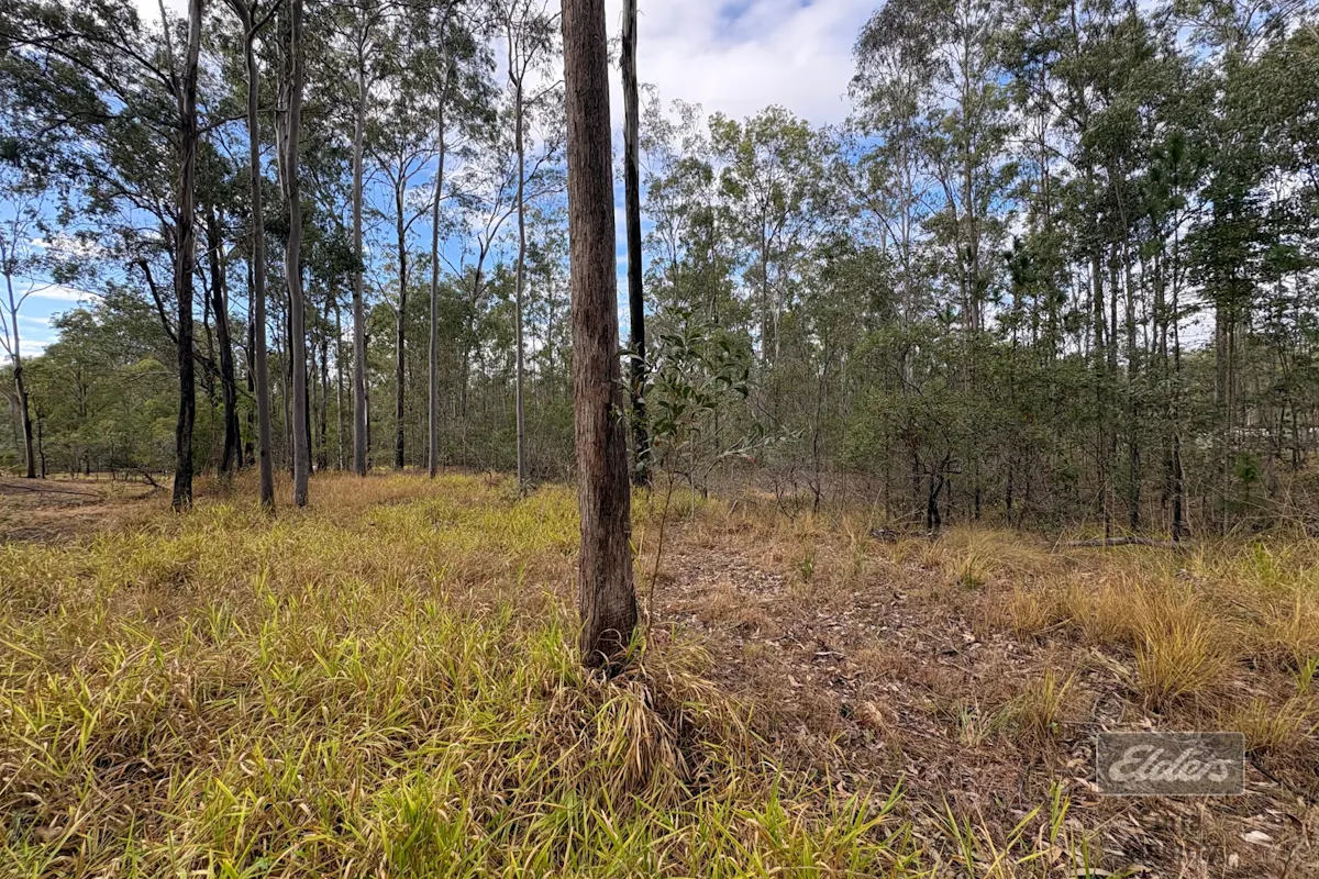 126 Arbortwenty Nine Road — photo 11 of 16