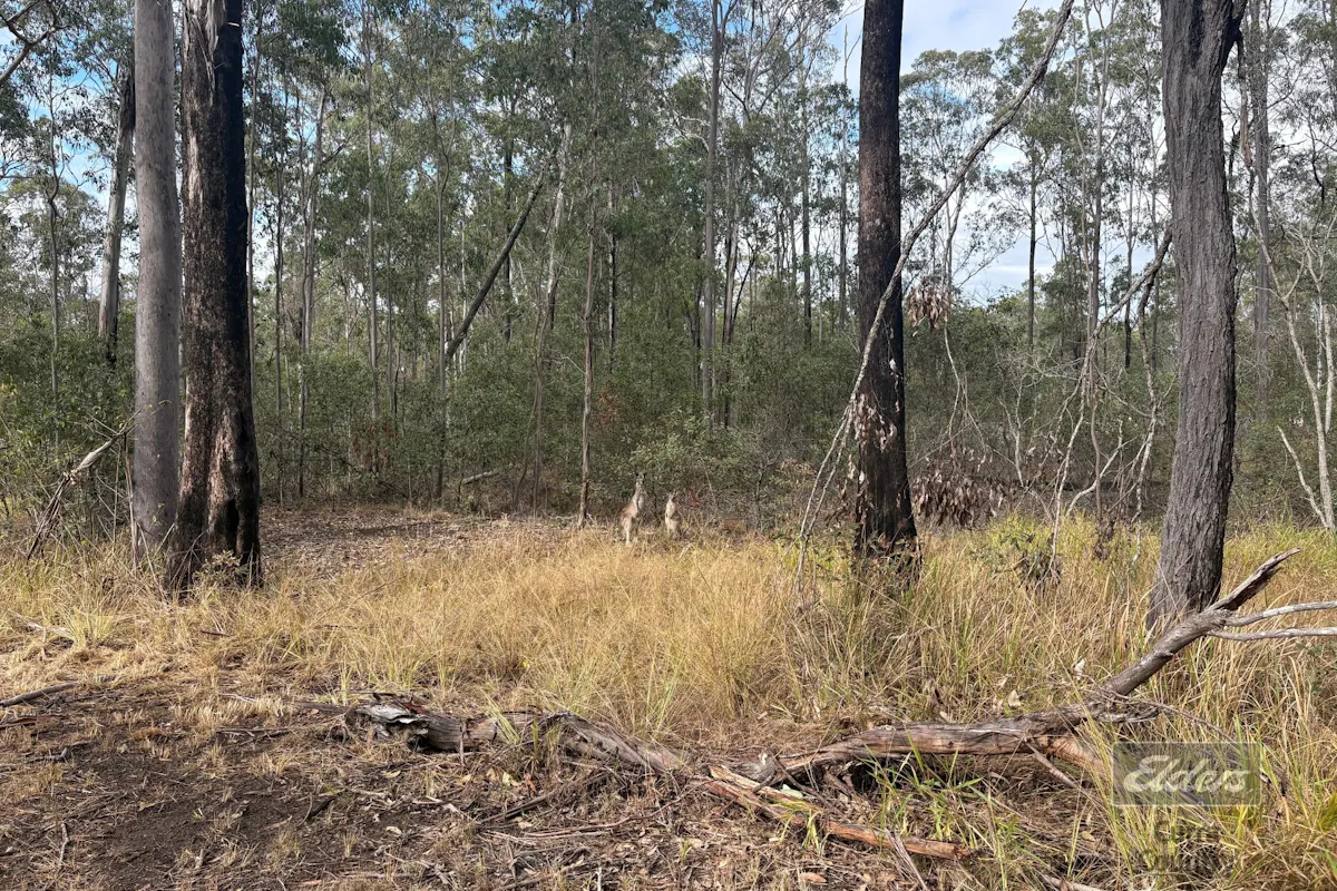 126 Arbortwenty Nine Road — photo 12 of 16