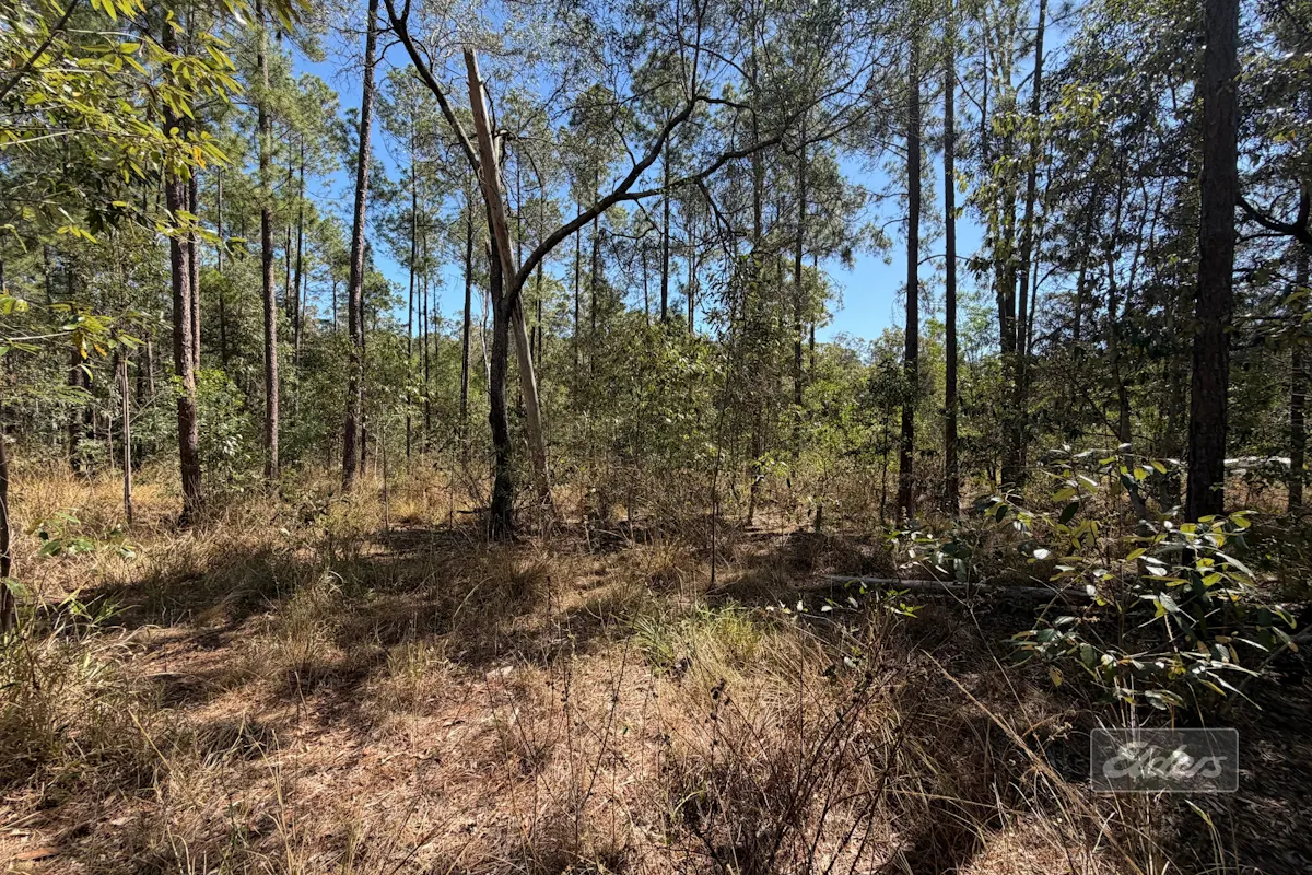 Lot 30 Gaunt Road Road — photo 7 of 9