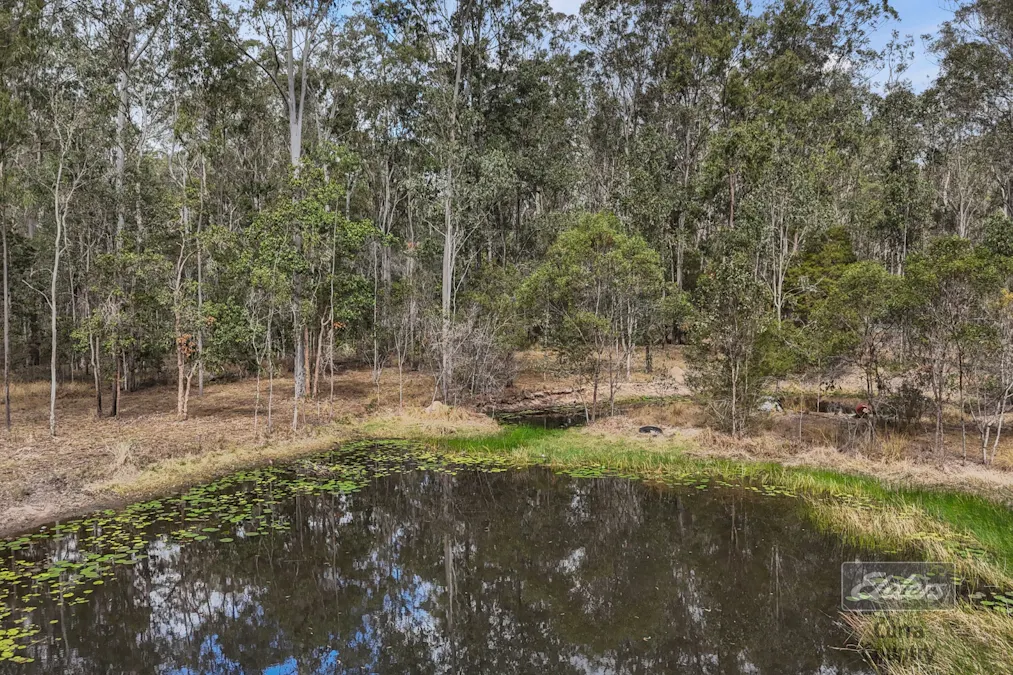 241 Cliff Jones Road, Curra, QLD, 4570 - Image 11