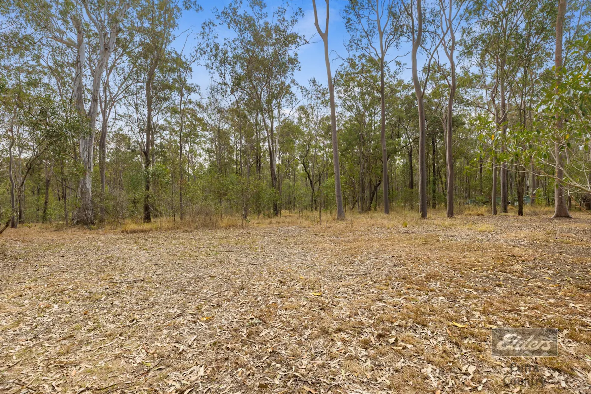 241 Cliff Jones Road — photo 14 of 18