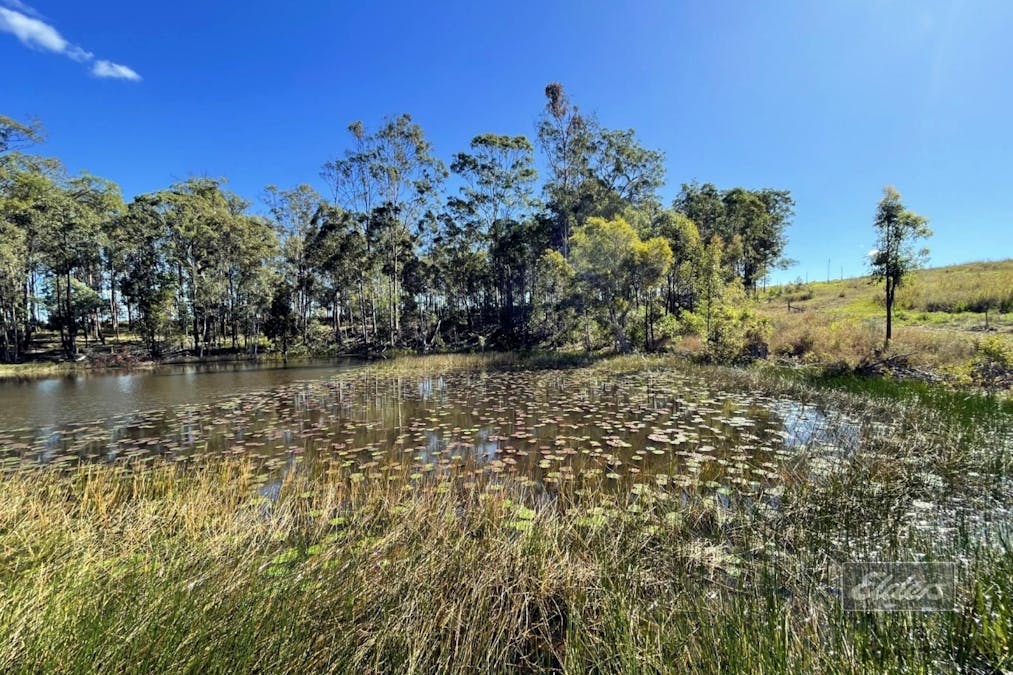 199 Forestry Road, Bauple, QLD, 4650 - Image 5