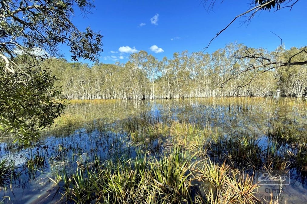 199 Forestry Road, Bauple, QLD, 4650 - Image 22