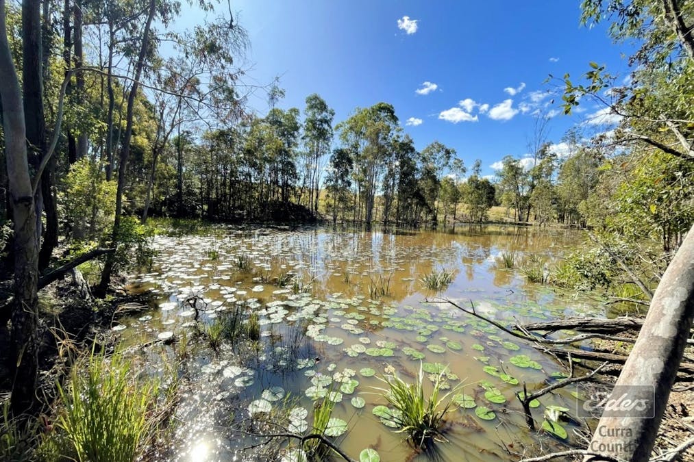 199 Forestry Road, Bauple, QLD, 4650 - Image 21