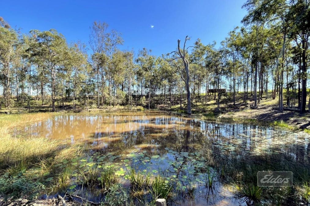 199 Forestry Road, Bauple, QLD, 4650 - Image 24