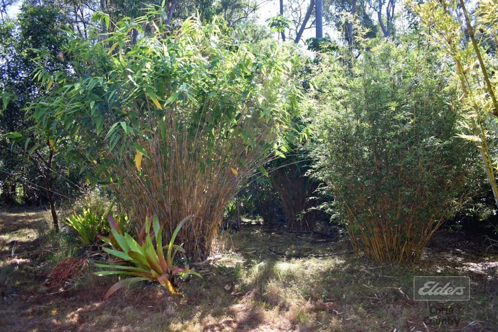 52 Harvey Road, Glenwood, QLD, 4570 - Image 13