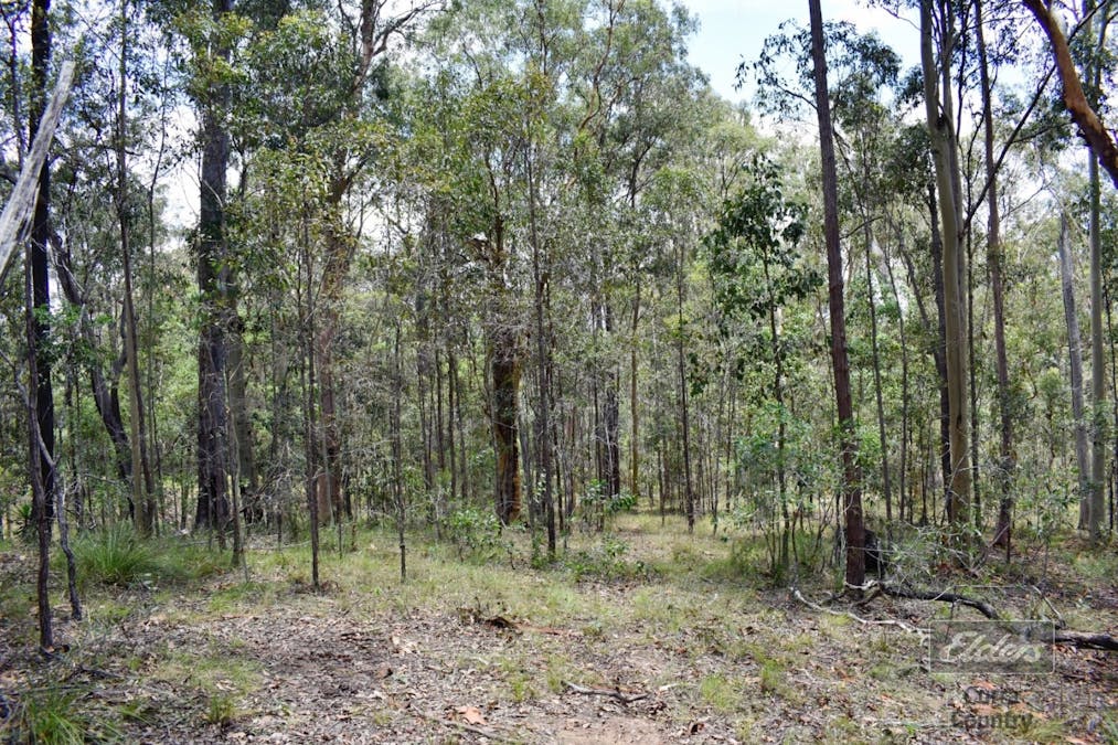 Lot 276 Van Hensbroek Road, Bauple, QLD, 4650 - Image 3