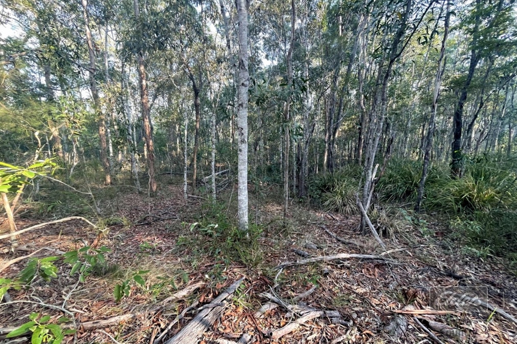 Lot 169 Forestry Road, Bauple, QLD, 4650 - Image 3