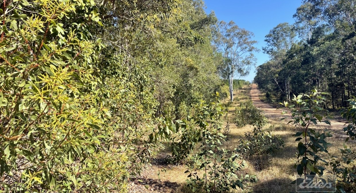 Lot 169 Forestry Road, Bauple, QLD, 4650 - Image 2