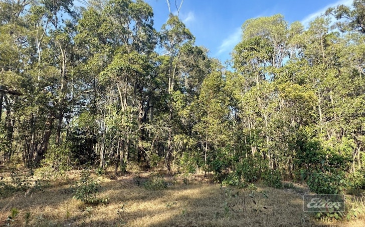 Lot 169 Forestry Road, Bauple, QLD, 4650 - Image 1