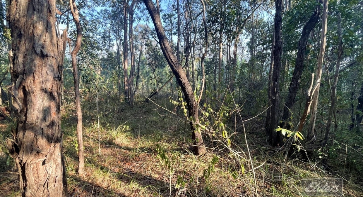 Lot 169 Forestry Road, Bauple, QLD, 4650 - Image 4