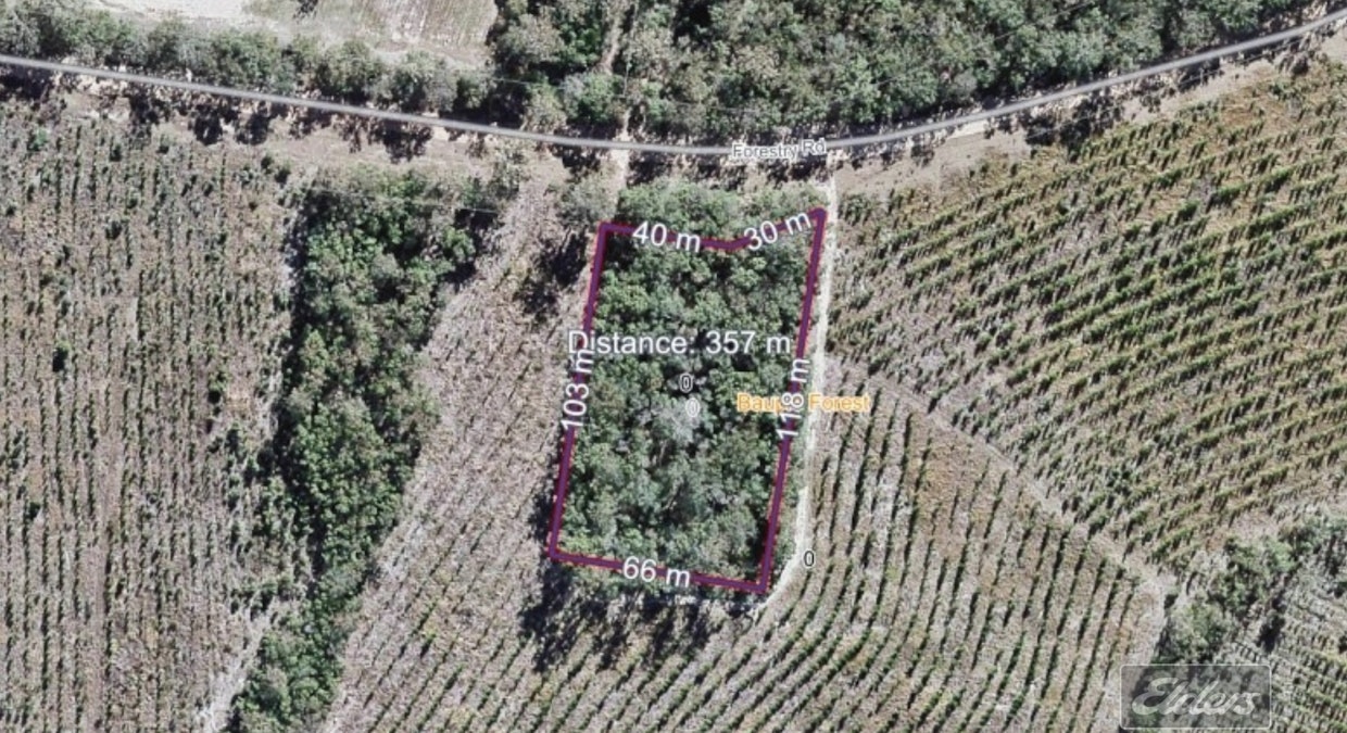 Lot 169 Forestry Road, Bauple, QLD, 4650 - Image 10