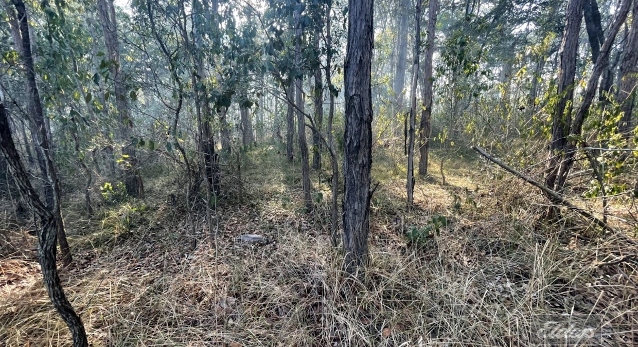 Lot 169 Forestry Road, Bauple, QLD, 4650 - Image 7