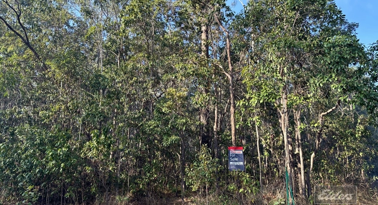 Lot 169 Forestry Road, Bauple, QLD, 4650 - Image 9