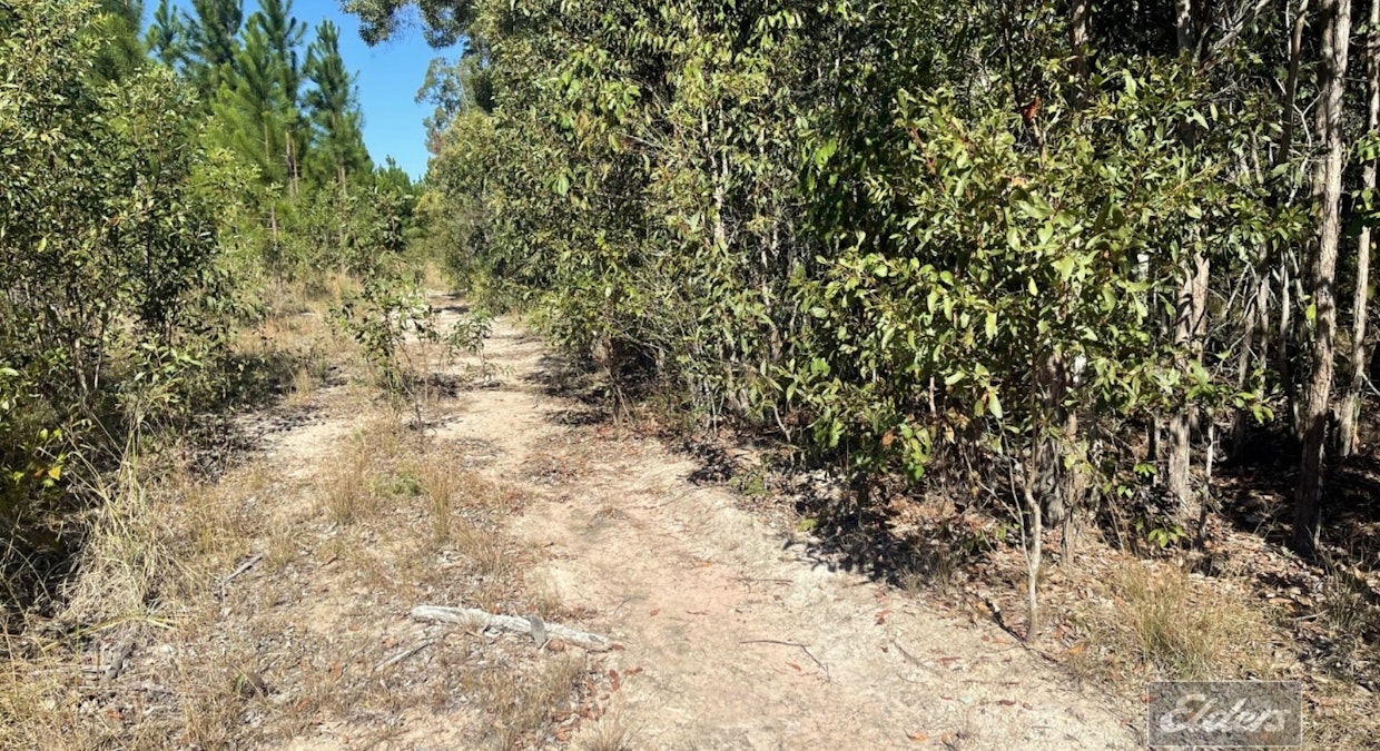 Lot 169 Forestry Road, Bauple, QLD, 4650 - Image 8