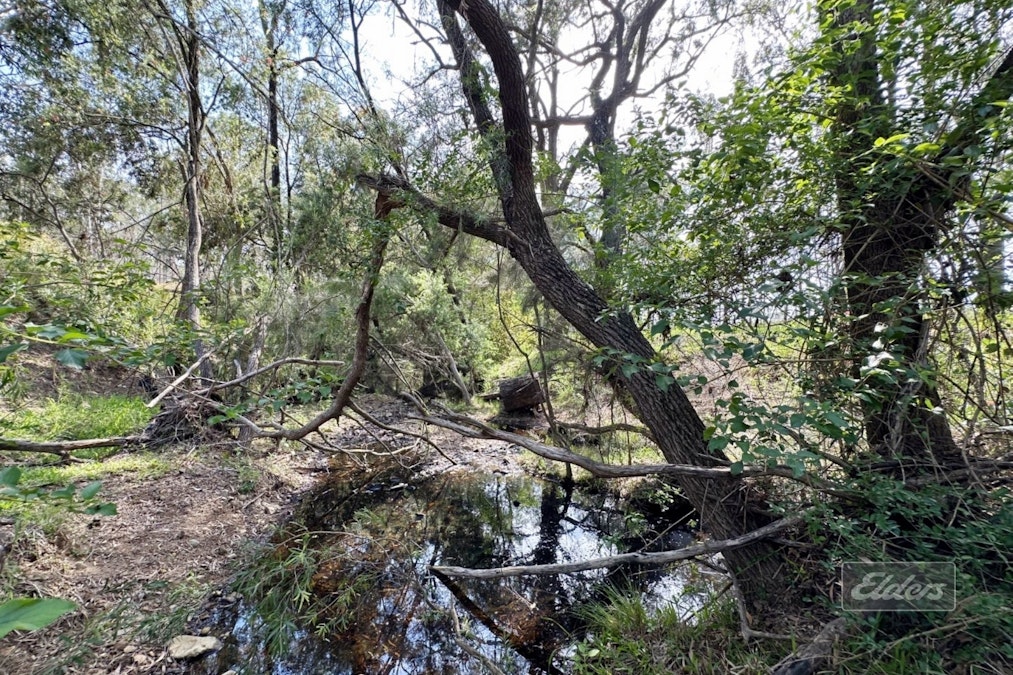 139 Spring Creek Road, Munna Creek, QLD, 4570 - Image 7