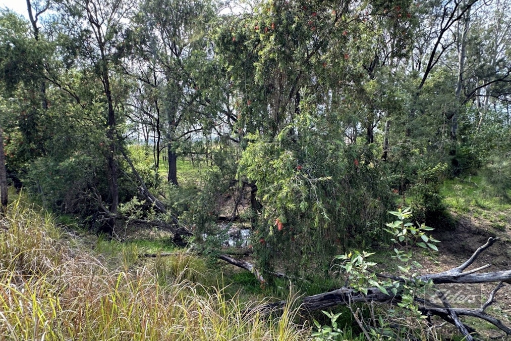 139 Spring Creek Road, Munna Creek, QLD, 4570 - Image 8