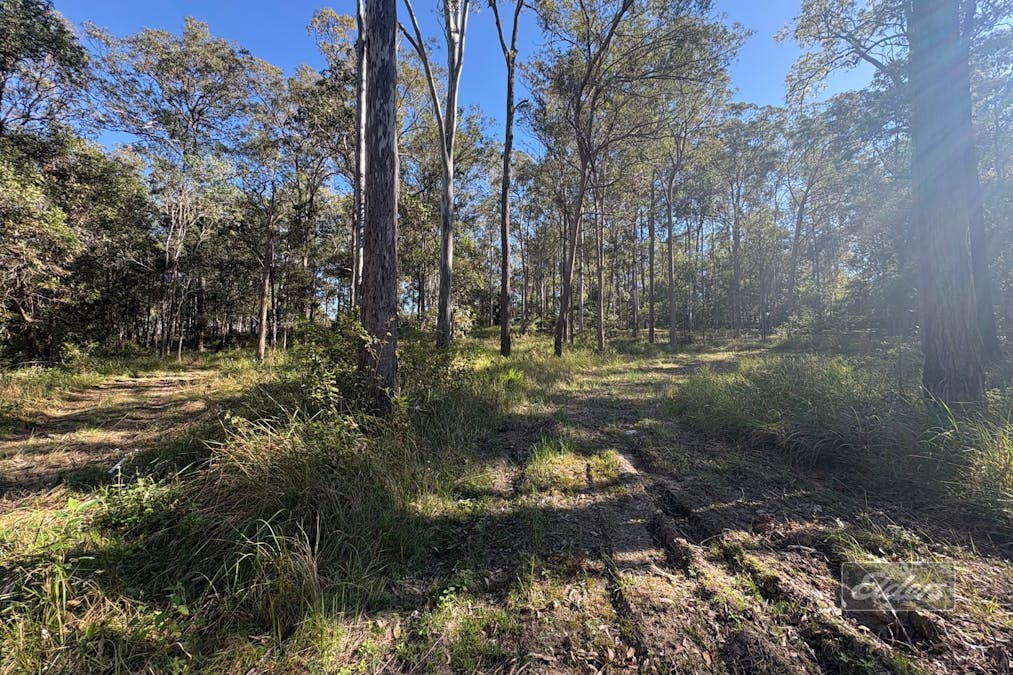 Lot 311 Faine Road, Bauple, QLD, 4650 - Image 7
