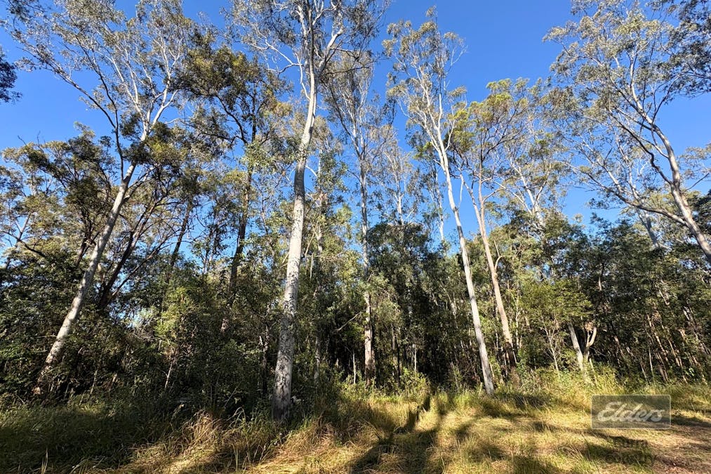 Lot 311 Faine Road, Bauple, QLD, 4650 - Image 6